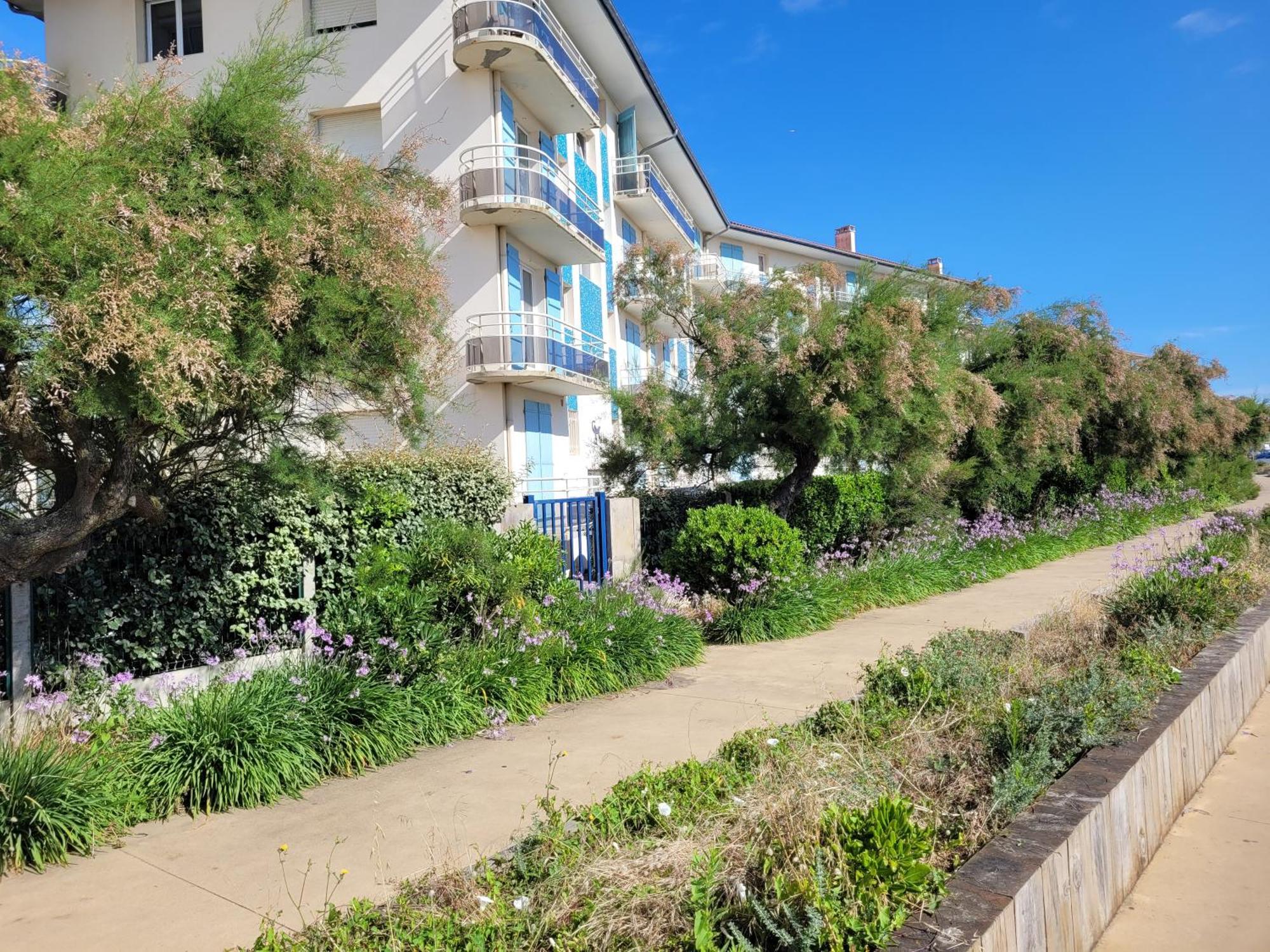 Sable - Appartement Renove Pour 4 Personnes Soorts-Hossegor Bagian luar foto